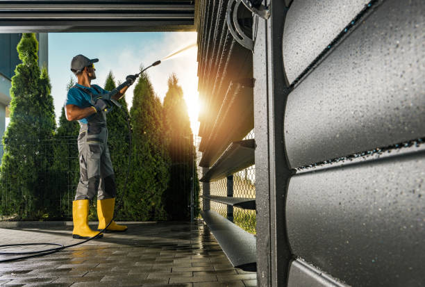 Best House Pressure Washing  in Harristown, IL