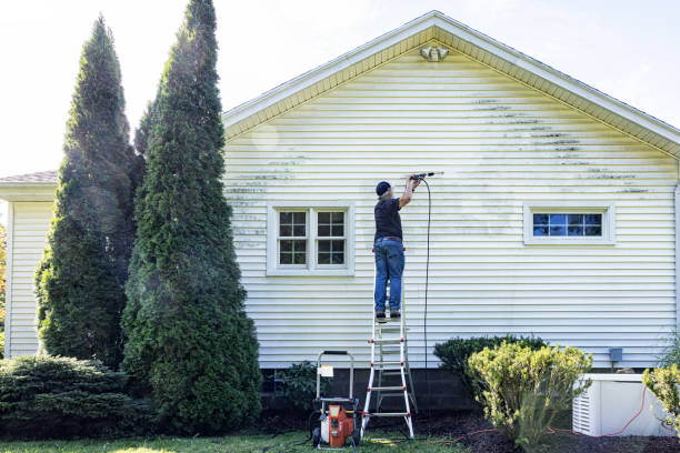 Best Pressure Washing Siding  in Harristown, IL